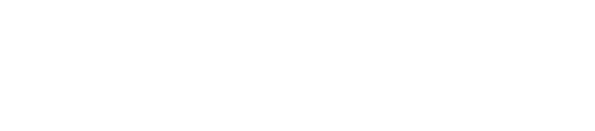 logo-du